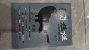 2025年07月(智力+繪本+美術(shù)+科學(xué)+數學(xué)) 曬單實(shí)拍圖
