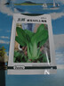 北蔬 小青菜種子苗上海青梗菜油菜種籽 速生605上海青種子50g約2萬(wàn)粒 曬單實(shí)拍圖
