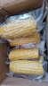 佟創(chuàng) 東北黃糯玉米新鮮糯甜玉米棒 代餐輕食真空包裝玉米生鮮 東北黃水果玉米凈重4斤6-8棒 曬單實(shí)拍圖