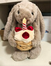 Jellycat害羞生日米色邦尼兔動(dòng)物毛絨玩偶安撫禮物送禮娃娃生日新婚禮物 褐色 Medium 曬單實(shí)拍圖