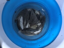 蚯蚓活餌鮮活紅蟲垂釣魚餌料鯽魚鯉魚野釣黑坑魚料打窩料魚食通殺 活體蚯蚓半斤（中號(hào)）送營(yíng)養(yǎng)土 曬單實(shí)拍圖