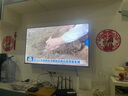 TCL雷鳥電視 50雀4 25款 50英寸 萊茵護(hù)眼雙認(rèn)證 自定義遙控器 無開機(jī)廣告 家電國家補(bǔ)貼電視50F195C 曬單實(shí)拍圖