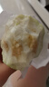 思卓奶油白心芭樂5斤（軟糯甜心）奶油番石榴新鮮巴樂果水果健康輕食 奶油芭樂4.8斤裝（軟糯甜心） 曬單實拍圖