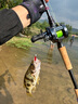 SHIMANO 禧瑪諾20款CQ DC 21CQ101HG小金輪泛用鼓輪遠(yuǎn)投輪路亞輪水滴輪 24款CQ 30/31HG 7.4速比 其他  左手型 曬單實(shí)拍圖