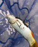 漁獵手千鯉江釣魚(yú)小藥黑坑鯉魚(yú)誘魚(yú)添加劑正新款千里江山0.01秒殺價(jià)活動(dòng) 一瓶 曬單實(shí)拍圖