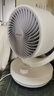 艾美特（AIRMATE）空氣循環(huán)扇家用節(jié)能小型落地電風扇四季循環(huán)對流換氣桌面小風扇大風量宿舍臺式搖頭輕音電扇 X28 曬單實拍圖
