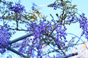 永諾（YONGNUO） 50mm F1.8II一代二代 適用微單小痰盂鏡頭大光圈定焦支持手動(dòng)對(duì)焦人像適用單反EF口索尼E口 YN50mm F1.8N尼康F口 曬單實(shí)拍圖
