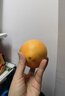 贛南臍橙橙子贛南臍橙正宗江西贛州直發(fā)早橙時(shí)令水果禮盒手剝橙新鮮水果 凈重9斤【單果70mm+】 曬單實(shí)拍圖