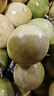京鮮生欽蜜9號(hào)黃金百香果 3斤凈重90g+/9-15個(gè)  生鮮水果 源頭直發(fā) 曬單實(shí)拍圖