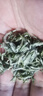茶禾韻【蒙頂甘露】2025新茶綠茶明前茶葉碧螺春蒙頂山茶葉頭采特級(jí)嫩芽 頭采 蒙頂甘露 500克 罐裝 曬單實(shí)拍圖