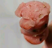小牛凱西 火山石烤腸高肉含量小鮮肉地道腸香腸肉腸熱狗臺灣香腸 甄選脆皮烤肉腸30根（250g*3袋） 曬單實拍圖