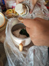 SKULD兒童餐具智能K5輔食碗保溫碗免注水恒溫碗316L不銹鋼寶寶碗 曬單實拍圖