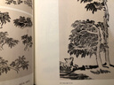 陸儼少寫(xiě)意山水畫(huà)譜 第2版 圖書(shū) 曬單實(shí)拍圖