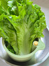 喜博兔廚房水槽過濾掛籃水池洗菜盆防堵漏網(wǎng)按壓式瀝水碗掛袋網(wǎng)格置物架 【綠色*1】瀝水掛籃/一鍵瀝水 曬單實(shí)拍圖