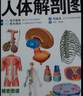 全新3D人體解剖圖 人體肌肉解剖運(yùn)動(dòng)解剖學(xué)斷層局部圖譜解剖書(shū)教材衛(wèi)生解剖生理學(xué)專業(yè)基礎(chǔ)醫(yī)學(xué)書(shū)解剖圖譜 曬單實(shí)拍圖