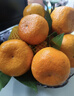 桃李村四川春見(jiàn)耙耙柑爆漿大果粑粑柑時(shí)令水果新鮮柑橘子當季整箱 精選大果3斤嘗鮮裝 曬單實(shí)拍圖