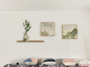 見(jiàn)造石來(lái)運(yùn)轉(zhuǎn)中古風(fēng)客廳裝飾畫(huà)2025新款電視沙發(fā)背景墻掛畫(huà)餐廳墻壁畫(huà) 山山而川A 方形(50*50)cm*2+精雕95*35cm 金色鋁合金畫(huà)框【高透晶瓷工藝】 曬單實(shí)拍圖