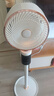 志高（CHIGO）【國家補貼】空氣循環(huán)扇電風(fēng)扇家用落地冰島智能語音遙控3D自動搖頭負(fù)離子凈化節(jié)能輕音大風(fēng)力臺地 曬單實拍圖