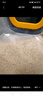 喜帥帶殼黃谷子2kg（新糧）鸚鵡糧食帶殼小米飼料鳥食虎皮玄鳳牡丹糧 曬單實拍圖