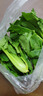 安徽云南種植上海青四季青蔬菜類(lèi)新鮮現發(fā)青菜小青菜綠葉菜香菇菜 1.5斤帶箱 小青菜 曬單實(shí)拍圖