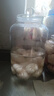 做米酒的容器 密封罐玻璃儲(chǔ)物罐食品存儲(chǔ)瓶罐子潮五谷雜糧儲(chǔ)存 5l      10斤裝 5L 10斤裝 曬單實(shí)拍圖
