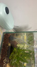 SQG魚缸氧氣泵增氧泵小型充氧泵靜音可調(diào)節(jié)5W雙孔泵+氣泡球 曬單實拍圖