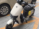 九號（Ninebot）九號電動新品Fz 110電動自行車9號智能鋰電【門店自提】 到門店選顏色 曬單實拍圖