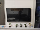 海信電視E5Q 75英寸 抗反光防眩光墨晶屏 U+Mini LED  300Hz高刷 U+超畫(huà)質(zhì)引擎Pro 國家補貼 75E5Q 曬單實(shí)拍圖