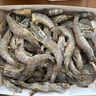 鮮京采【超28天全額退】 28天鮮凍蝦 2斤裝 40-60只 源頭直發(fā) 北海大蝦  曬單實拍圖