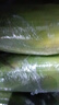 京鮮生云南水果玉米5斤 鮮甜玉米棒 甜脆多汁 新鮮蔬菜 源頭直發(fā)包郵 曬單實(shí)拍圖