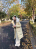 宏資琦羽絨棉服女冬季2025新款中長(cháng)款高級感加厚大毛領(lǐng)長(cháng)款棉衣棉襖外套 黃色 M （建議106—120斤） 曬單實(shí)拍圖