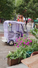 飛鴿電動(dòng)三輪車電動(dòng)車小型家用接送孩子老人代步休閑一體棚帶棚三輪車 【超威】1000W動(dòng)力版+長(zhǎng)跑王約150里 曬單實(shí)拍圖