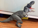 玩具反斗城（TOYSRUS）玩具反斗城美泰侏羅紀(jì)世界統(tǒng)治電影大型聲效攻擊AR互動(dòng)模型玩具 霸王龍11913 曬單實(shí)拍圖