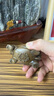 金絲楠陰沉木金錢龜原木桌面擺件規(guī)格長7.5*4.2*4cm 曬單實(shí)拍圖