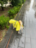 MIKI PAD狗狗雨衣中大型犬柯基邊牧金毛寵物雨衣斗篷防水雨披狗狗沖鋒衣 檸檬黃 #快穿設計 3XL（背長(cháng)37-44 參考體重20-36斤） 曬單實(shí)拍圖