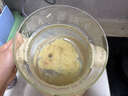 World Kitchen康寧電燉盅全玻璃電燉鍋 鮮燉鍋燉盅 隔水燉鍋 燉湯盅電燉鍋 燕窩燉盅煲湯鍋 嬰兒寶寶輔食鍋 基礎(chǔ)款 2L 曬單實拍圖
