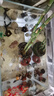 森森 超白玻璃小魚(yú)缸HWK-280P裸缸款含底座小型造景水草缸金魚(yú)缸 曬單實(shí)拍圖