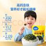 小鹿藍(lán)藍(lán)DHA藻油芝麻拌飯海苔碎高鈣高蛋白下飯調(diào)味品健康營養(yǎng)兒童零食 【媽媽省心】拌飯海苔碎*2袋200g 曬單實(shí)拍圖