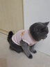 馭瑛貓咪衣服防掉毛夏季貓咪狗狗衣服寵物衣服幼貓中小型犬春秋衣服 粉色熊熊頭(L碼建議6-8斤) 曬單實(shí)拍圖