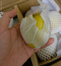 京鮮生 新疆庫(kù)爾勒香梨 凈重5斤 單果100g-120g 新鮮水果 源頭直發(fā) 曬單實(shí)拍圖