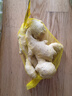 上海青500g(油菜) 曬單實拍圖