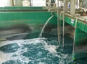 點清工業(yè)消泡劑有機硅化泡劑消泡抑泡涂料金屬加工液水性體系消除泡沫 有機硅消泡劑25kg 曬單實拍圖