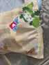 小愛星 嬰兒枕頭幼兒園定型枕小午睡枕含芯學(xué)生可愛活性芯純棉 【藍色小恐龍】 純棉枕套+蕎麥殼枕芯【30*45CM】 曬單實拍圖