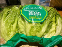 【高山鮮】鐘靈山羅馬生菜400g 曬單實(shí)拍圖