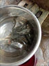 特大螺螄青魚苗黑皖魚一斤大青魚苗青魚苗四大家魚苗淡水養(yǎng)殖本地 【已吃螺螄】6-8厘米螺螄青魚苗30條  包活到手 曬單實(shí)拍圖