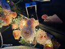 DR對戒男戒鉑金FOREVER系列信念訂婚結婚鉆石戒指男B09027 【單男戒PT950】10分H色SI1 曬單實拍圖