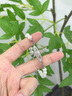 花有心柿高級感土星珍珠手鏈輕奢小眾精致手串閨蜜手鏈女2025年新款手飾品 土星珍珠手鏈（手鏈） 曬單實(shí)拍圖