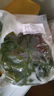 鮮海帶 鹽漬海帶結 海帶扣 火鍋食材 海洋蔬菜 大連鹽漬鮮海帶結500g 曬單實拍圖