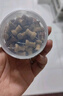 離草木質(zhì)工字釘圖釘油畫(huà)作品裝飾毛氈板美術(shù)照片墻軟木板大頭釘便簽畫(huà)板按釘diy固定釘留言板釘子 50枚 曬單實(shí)拍圖
