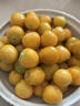 桃西村東北姑娘果【順豐可選】菇?jīng)龉S金莓燈籠果黃菇娘小金豆新鮮水果 9斤 精選果【單果7-9g】順豐 曬單實(shí)拍圖